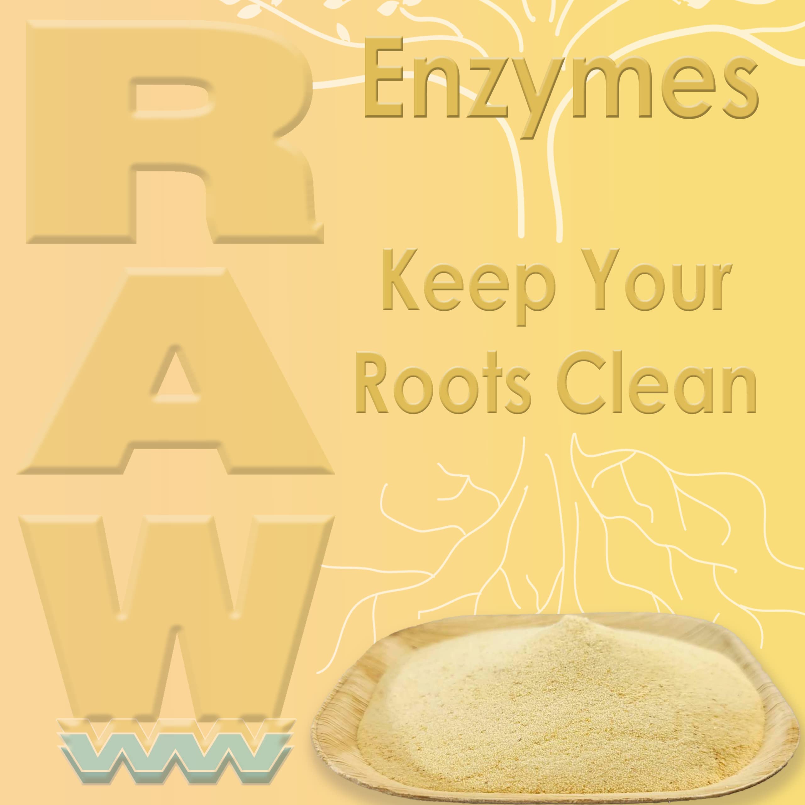 Amazon.com: NPK Industries 717995 Raw Enzymes, 2 oz : Health